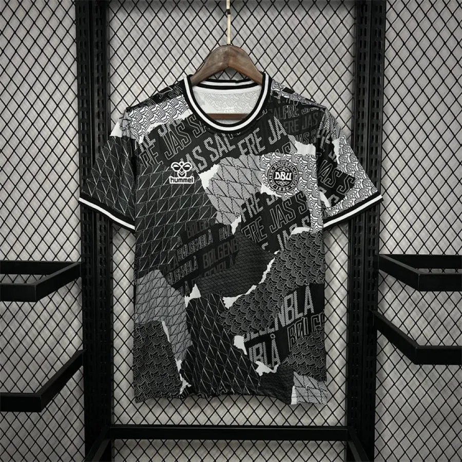 Denmark Denmark 2024 25 Euro Pre match training Jersey