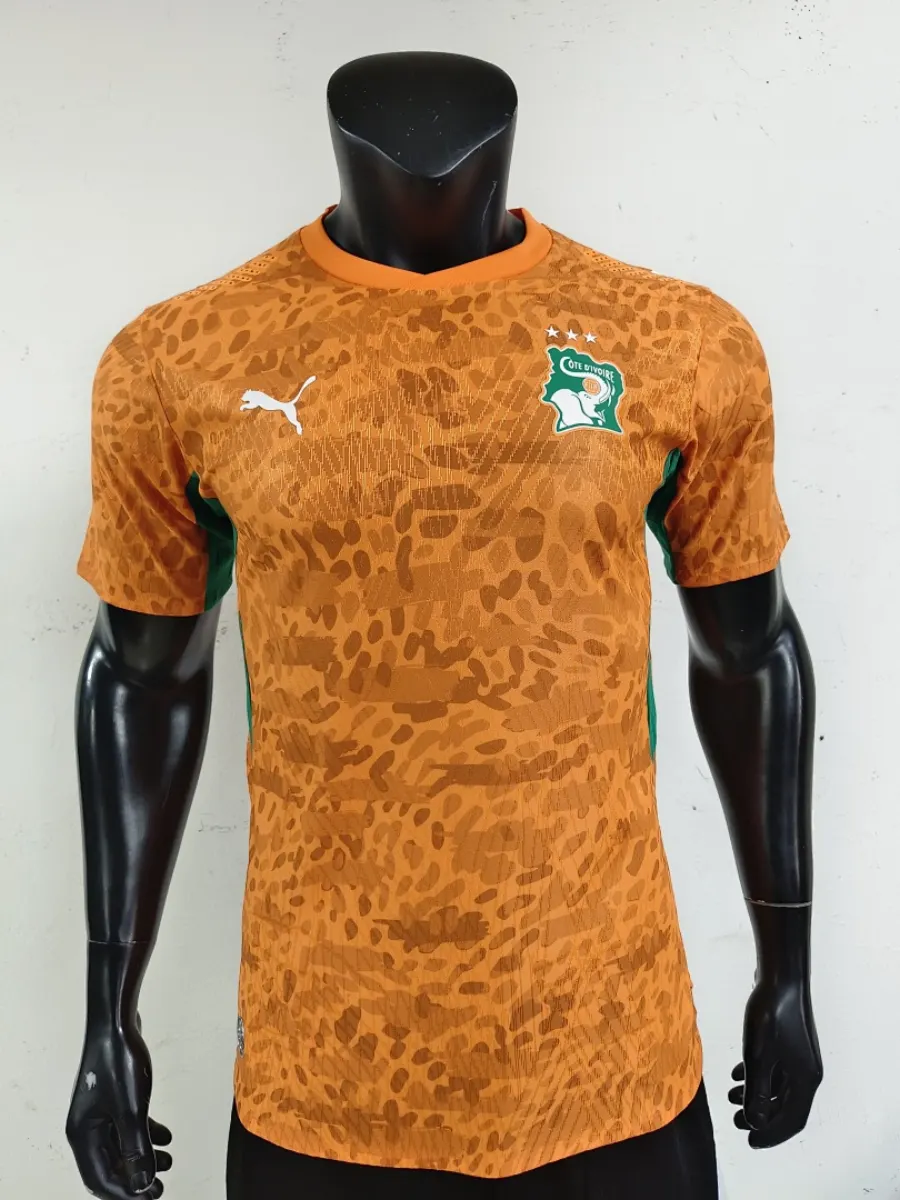 Ivory Coast 2026 Cote d'Ivoire Hosts
