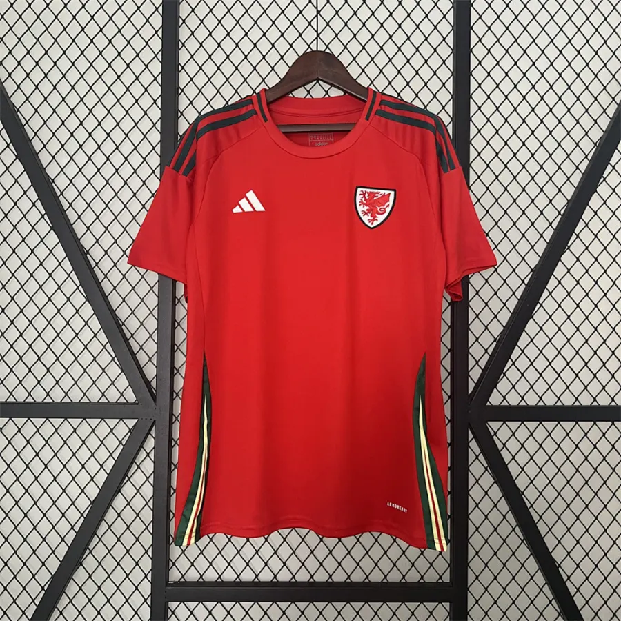 Wales 2024 Wales Home S XXL